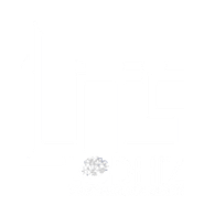 LITS SERVICES logo