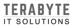 Terabyte IT Solutions logo