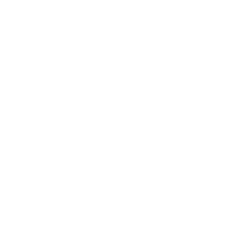 Pax8 logo